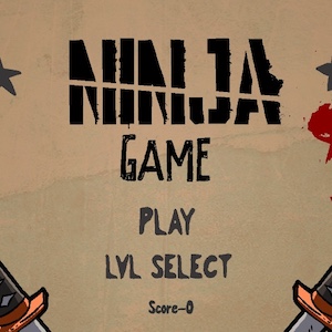 The Ninja Game