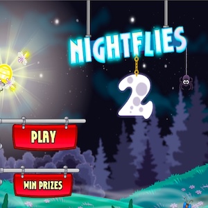 Night Flies 2