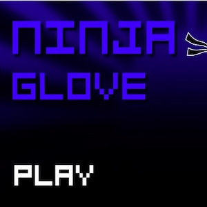 Ninja Glove