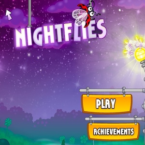 Night Flies