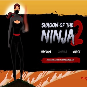 Shadow of the ninja2